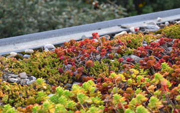 the cost of Chadlington green roof installation